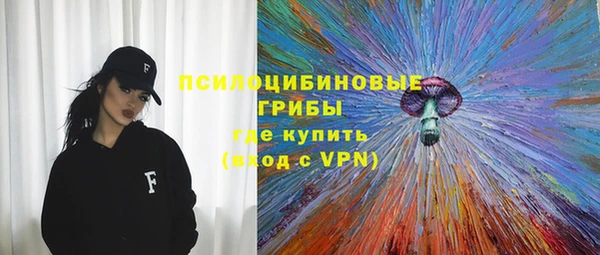 mix Бородино