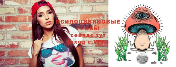 ГАЛЛЮЦИНОГЕННЫЕ ГРИБЫ Бронницы