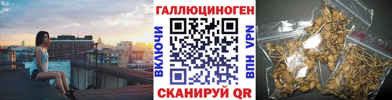 Купить где  Остров  Галлюциногенные грибы прущие грибы 